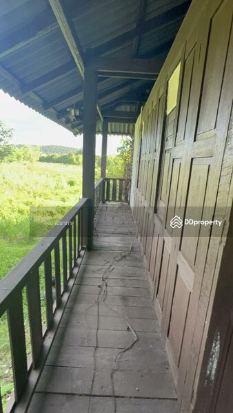 ขาย - ขายที่ดินแปลงใหญ่ อ.ดอยสะเก็ด จ.เชียงใหม่, เชียงใหม่
