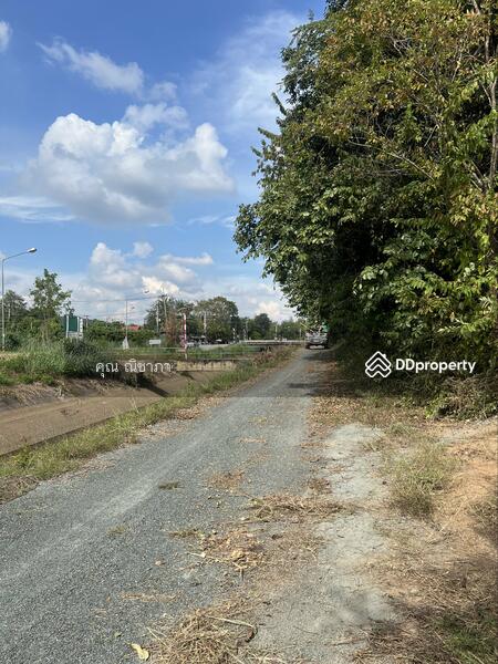 ขาย - ขายที่ดินแปลงใหญ่ อ.ดอยสะเก็ด จ.เชียงใหม่, เชียงใหม่