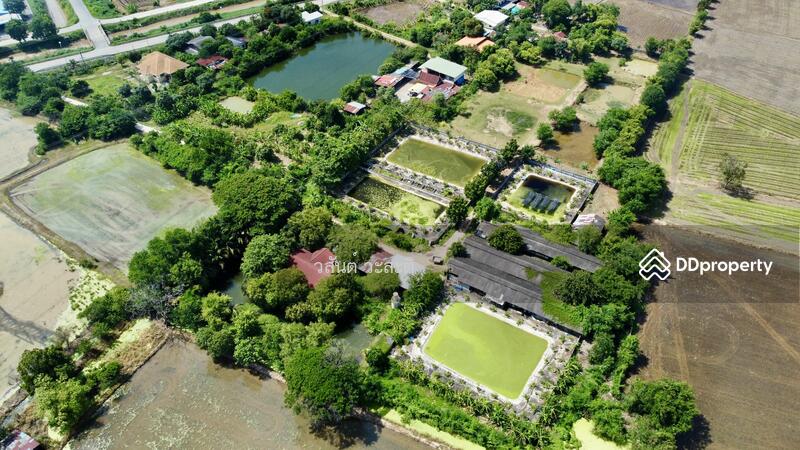 ขาย - ที่ดินพร้อมสิ่งปลูกสร้าง บ้านร่อม ท่าเรือ อยุธยา 550,000/ไร่ (10-2-6 ตร.ว.), พระนครศรีอยุธยา