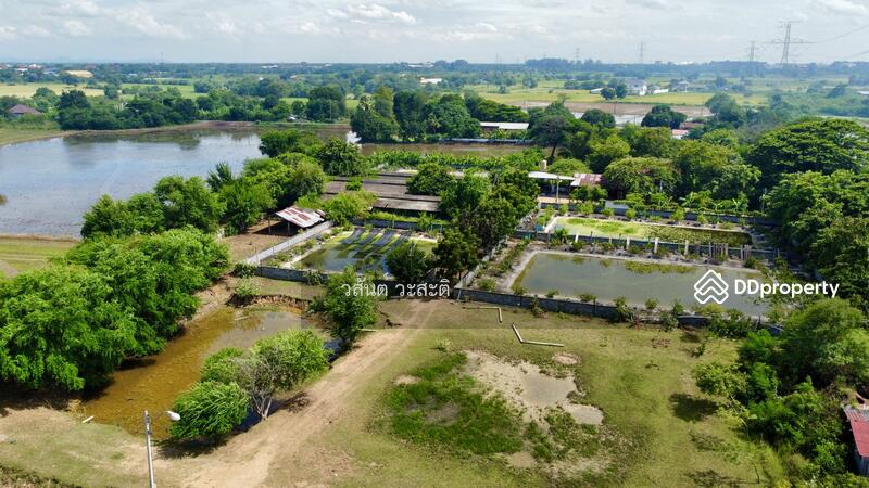 ขาย - ที่ดินพร้อมสิ่งปลูกสร้าง บ้านร่อม ท่าเรือ อยุธยา 550,000/ไร่ (10-2-6 ตร.ว.), พระนครศรีอยุธยา