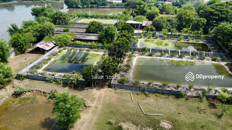 ขาย - ที่ดินพร้อมสิ่งปลูกสร้าง บ้านร่อม ท่าเรือ อยุธยา 550,000/ไร่ (10-2-6 ตร.ว.), พระนครศรีอยุธยา