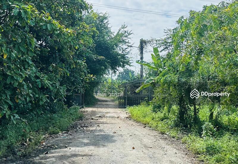 ขาย - ที่ดินพร้อมสิ่งปลูกสร้าง บ้านร่อม ท่าเรือ อยุธยา 550,000/ไร่ (10-2-6 ตร.ว.), พระนครศรีอยุธยา