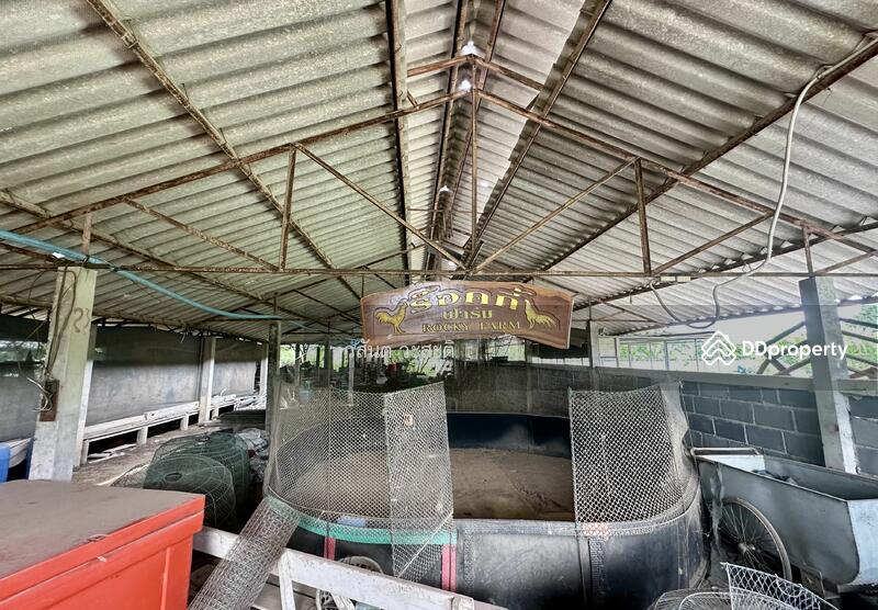 ขาย - ที่ดินพร้อมสิ่งปลูกสร้าง บ้านร่อม ท่าเรือ อยุธยา 550,000/ไร่ (10-2-6 ตร.ว.), พระนครศรีอยุธยา