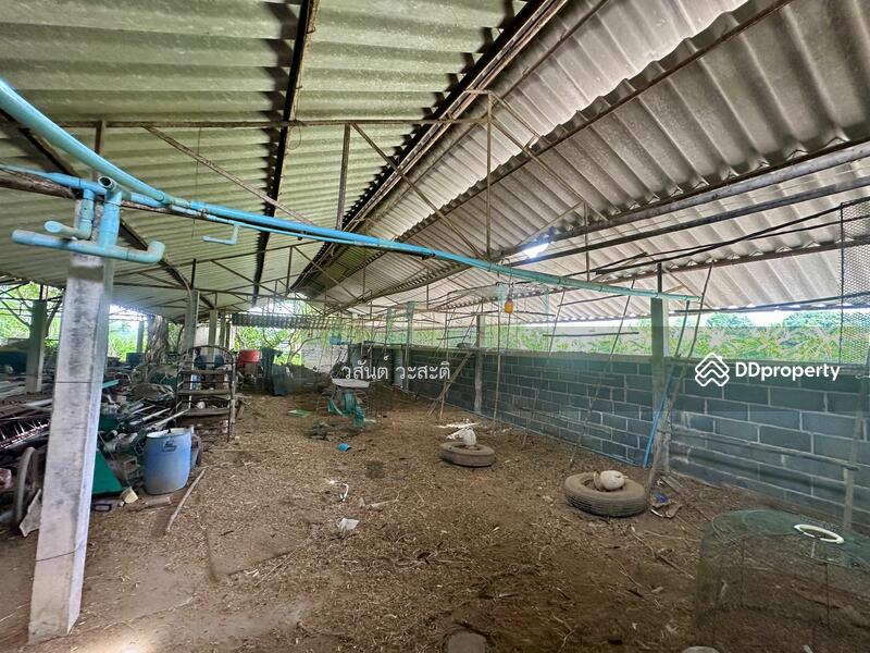 ขาย - ที่ดินพร้อมสิ่งปลูกสร้าง บ้านร่อม ท่าเรือ อยุธยา 550,000/ไร่ (10-2-6 ตร.ว.), พระนครศรีอยุธยา