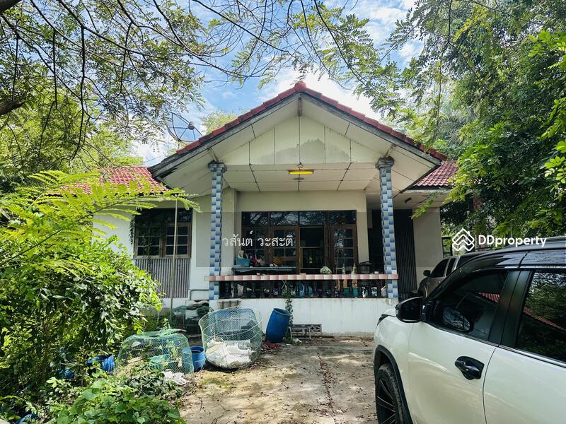 ขาย - ที่ดินพร้อมสิ่งปลูกสร้าง บ้านร่อม ท่าเรือ อยุธยา 550,000/ไร่ (10-2-6 ตร.ว.), พระนครศรีอยุธยา