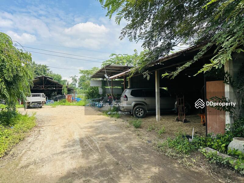 ขาย - ที่ดินพร้อมสิ่งปลูกสร้าง บ้านร่อม ท่าเรือ อยุธยา 550,000/ไร่ (10-2-6 ตร.ว.), พระนครศรีอยุธยา