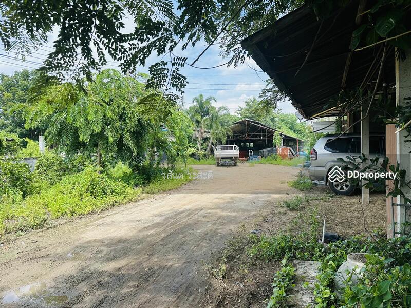 ขาย - ที่ดินพร้อมสิ่งปลูกสร้าง บ้านร่อม ท่าเรือ อยุธยา 550,000/ไร่ (10-2-6 ตร.ว.), พระนครศรีอยุธยา