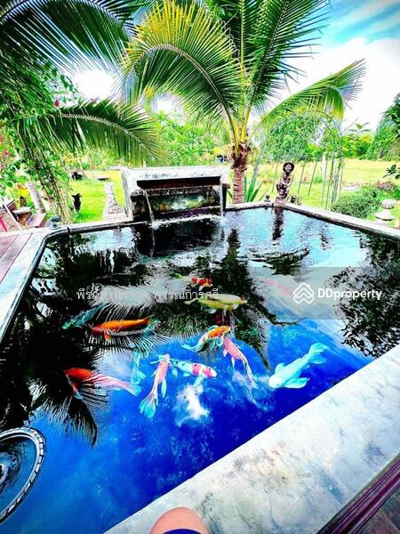 For Sale - บ้านพร้อมที่ดิน, Khon Kaen
