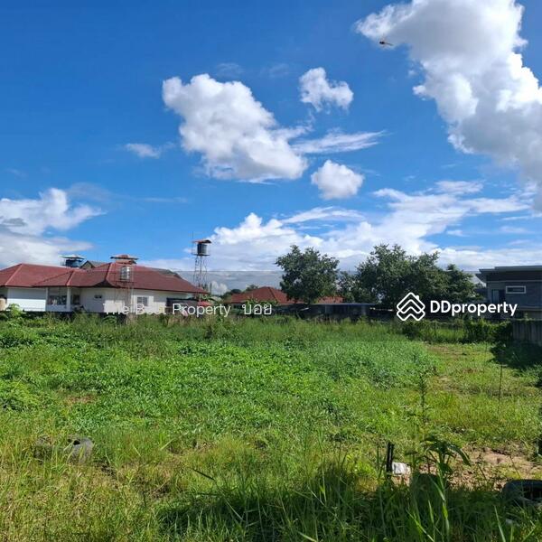 For Sale - ที่ดินสารภี เชียงใหม่, Chiang Mai