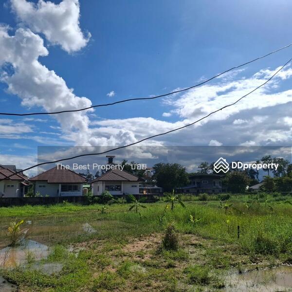 For Sale - ที่ดินสารภี เชียงใหม่, Chiang Mai
