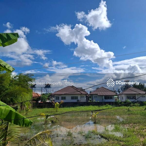 For Sale - ที่ดินสารภี เชียงใหม่, Chiang Mai