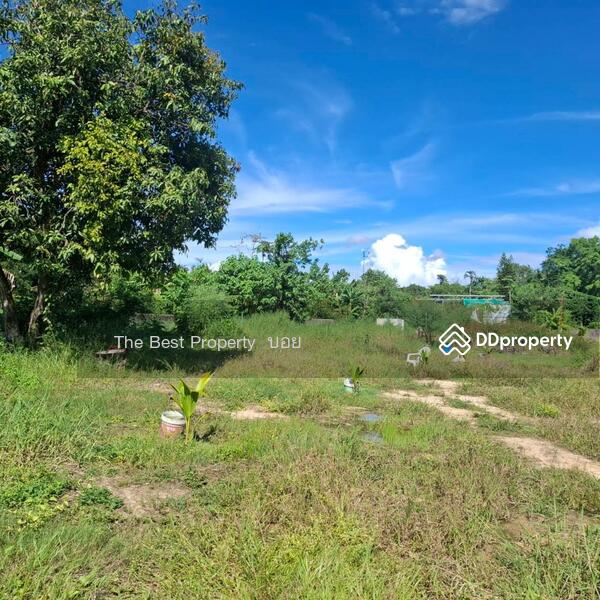For Sale - ที่ดินสารภี เชียงใหม่, Chiang Mai