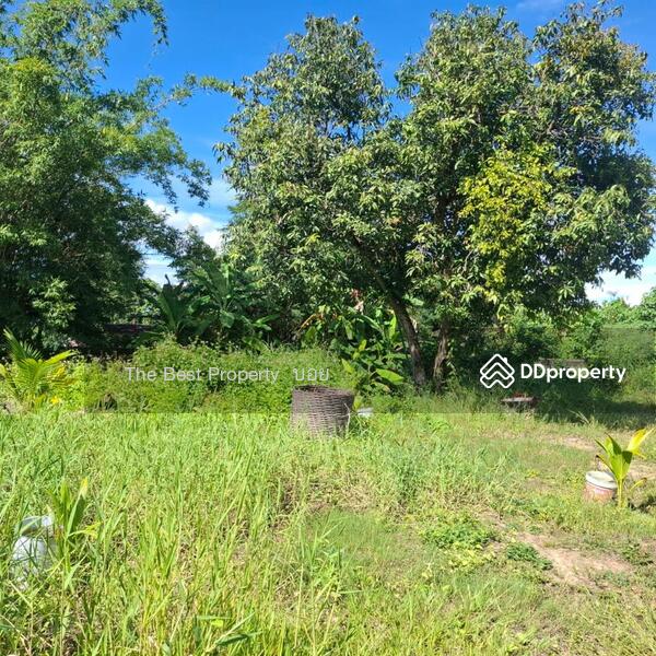 For Sale - ที่ดินสารภี เชียงใหม่, Chiang Mai
