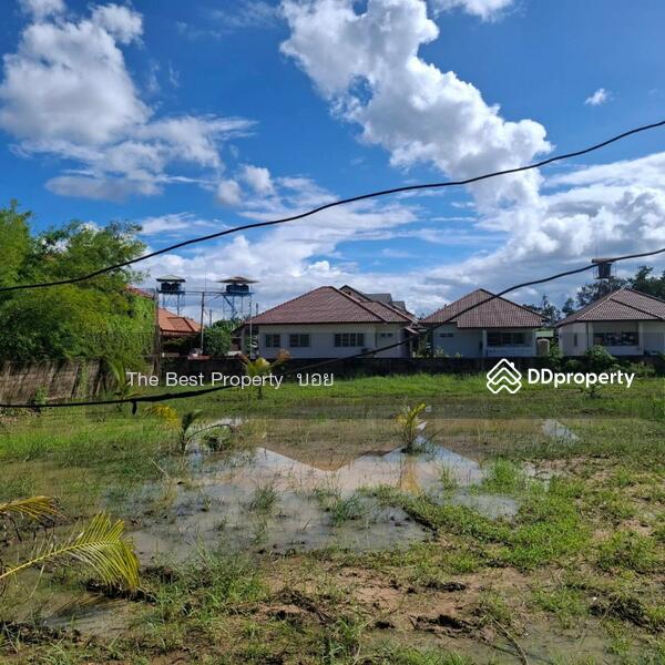 For Sale - ที่ดินสารภี เชียงใหม่, Chiang Mai