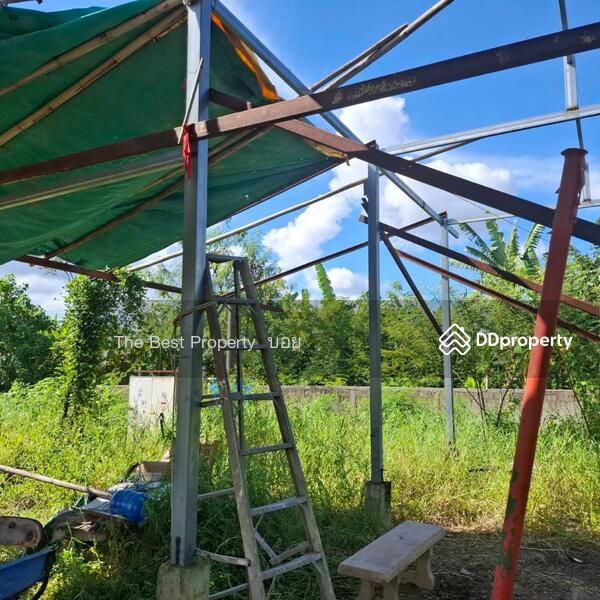 For Sale - ที่ดินสารภี เชียงใหม่, Chiang Mai