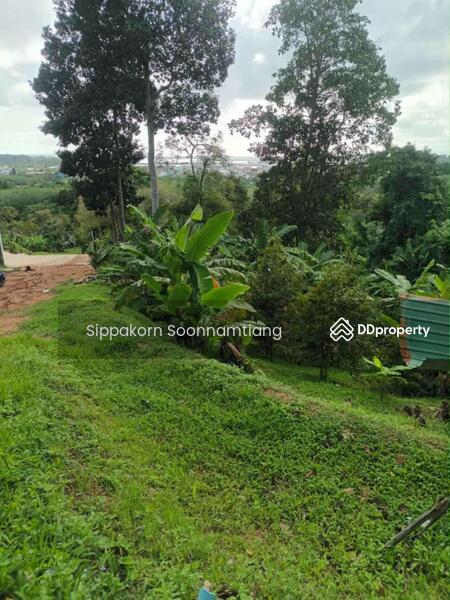 ขาย - Land for Sale Sea-View, Kata beach, Phuket ขายที่ดินซีวิว หาดกะตะ ภูเก็ต, ภูเก็ต