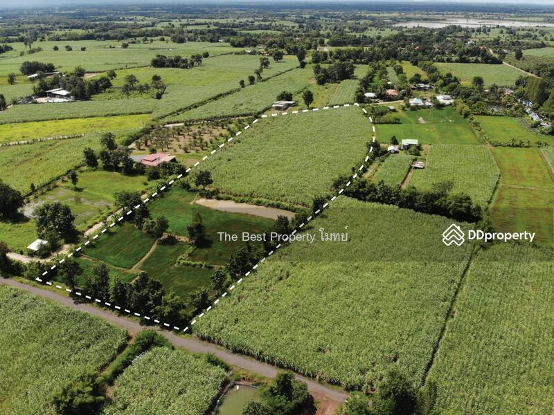 For Sale - ที่ดินหนองเรือ ขอนแก่น, Khon Kaen