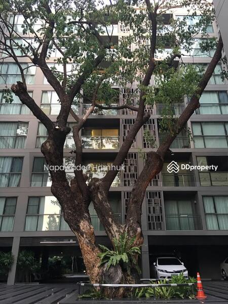 For Rent - Via BOTANI, Bangkok