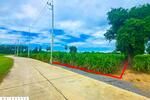 WR-994919 ที่ดินทุ่งคอก 6 ไร่ 110 ตร.ว. สุพรรณบุรี ใกล้สำนักงานขนส่ง สาขาอำเภอสองพี่น้อง, สุพรรณบุรี
