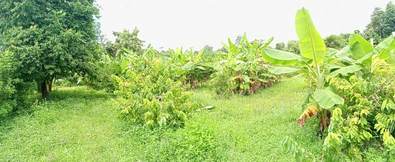 ขาย - ที่ดินแจ้ห่ม ลำปาง, ลำปาง