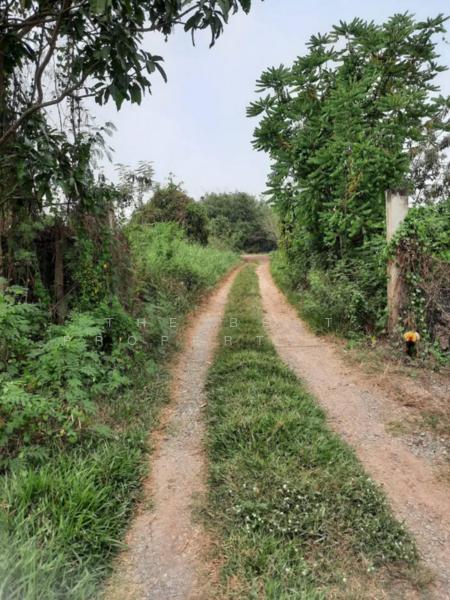 For Sale - ที่ดินไทรน้อย นนทบุรี, Nonthaburi