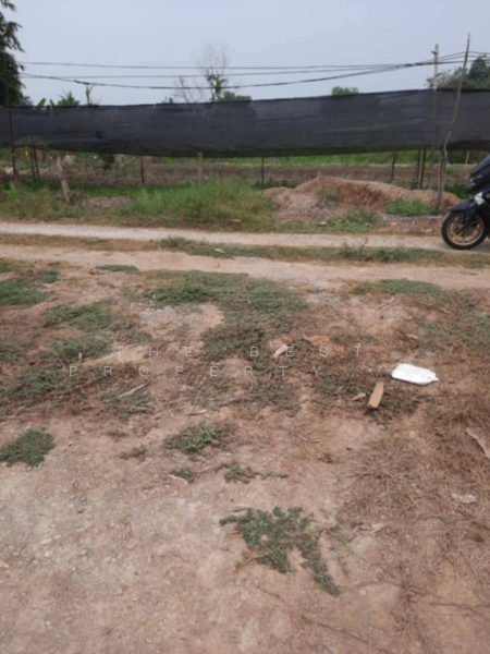 For Sale - ที่ดินไทรน้อย นนทบุรี, Nonthaburi