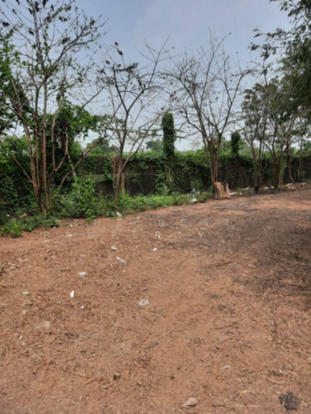 For Sale - ที่ดินไทรน้อย นนทบุรี, Nonthaburi