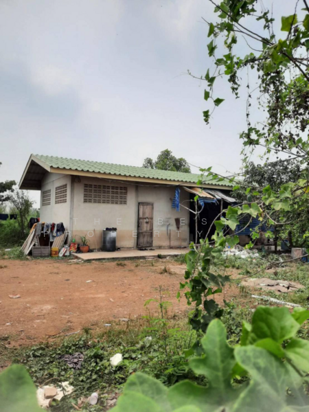 For Sale - ที่ดินไทรน้อย นนทบุรี, Nonthaburi