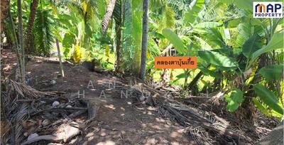 ขาย - ที่ดินริมคลอง 2-1-40 ไร่, สมุทรสาคร