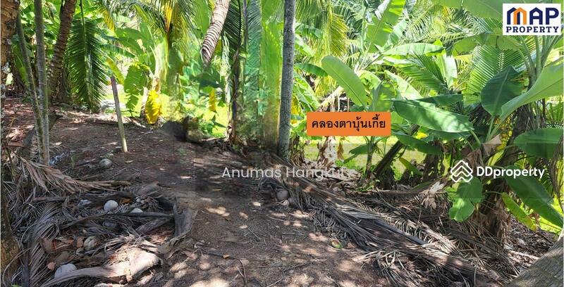 For Sale - ที่ดินริมคลอง 2-1-40 ไร่, Samut Sakhon