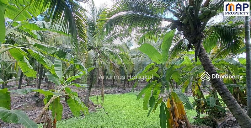 For Sale - ที่ดินริมคลอง 2-1-40 ไร่, Samut Sakhon