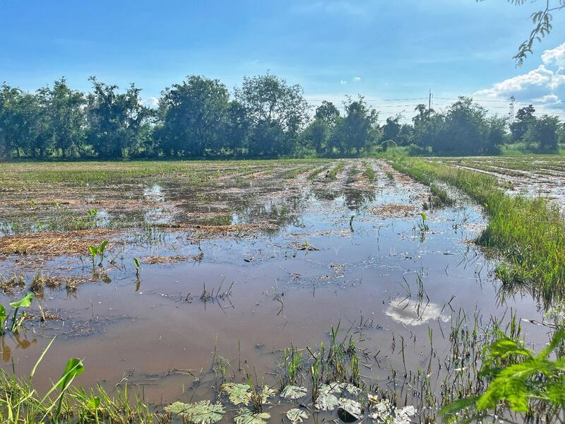 ขาย - ที่ดินเขาท่าพระ ชัยนาท, ชัยนาท