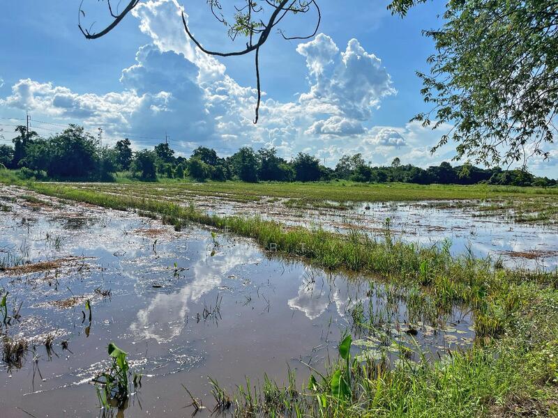 For Sale - ที่ดินเขาท่าพระ ชัยนาท, Chai Nat