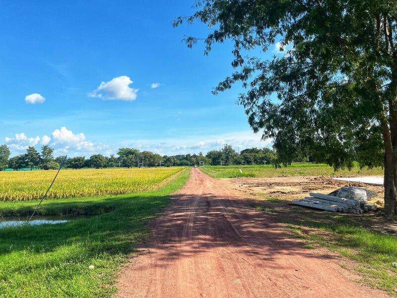 ขาย - ที่ดินเขาท่าพระ ชัยนาท, ชัยนาท