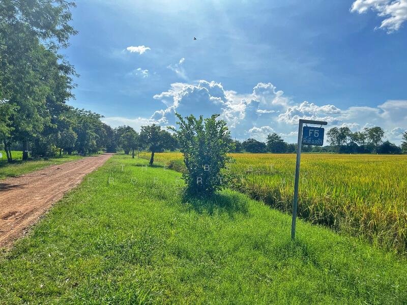 For Sale - ที่ดินเขาท่าพระ ชัยนาท, Chai Nat