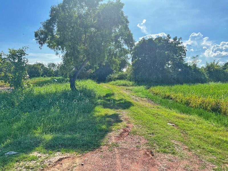 For Sale - ที่ดินเขาท่าพระ ชัยนาท, Chai Nat