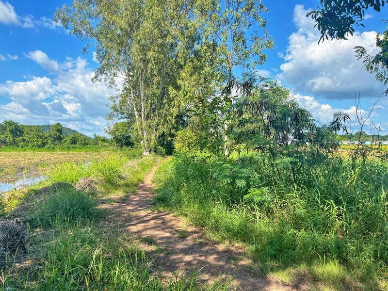 For Sale - ที่ดินเขาท่าพระ ชัยนาท, Chai Nat