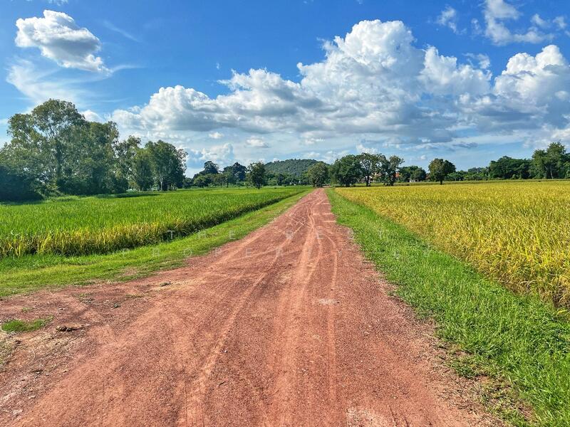 For Sale - ที่ดินเขาท่าพระ ชัยนาท, Chai Nat