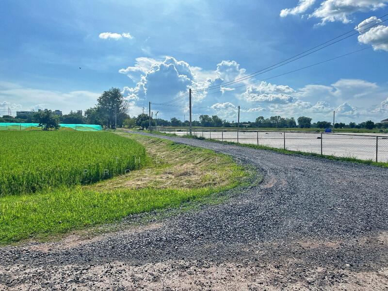 For Sale - ที่ดินเขาท่าพระ ชัยนาท, Chai Nat