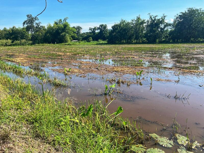 For Sale - ที่ดินเขาท่าพระ ชัยนาท, Chai Nat