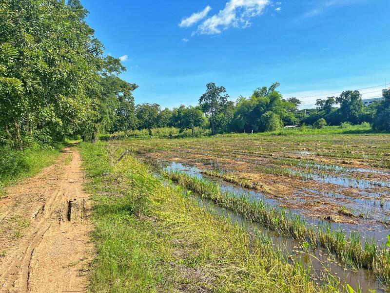 For Sale - ที่ดินเขาท่าพระ ชัยนาท, Chai Nat