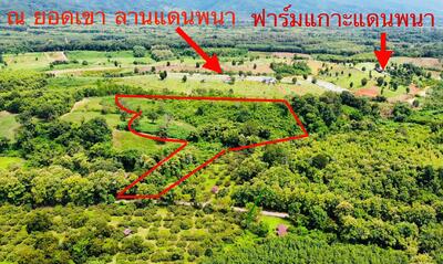 ขาย - ที่ดินเนินเขา ปัว ,น่าน ( 20 ไร่ ขายเพียง 8.5 ล้าน ) อยู่ติดยอดเขา ลานแดนพนา, น่าน