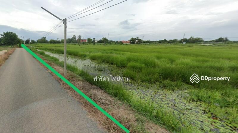 ขาย - ขายที่ดินฉะเชิงเทรา อำเภอบ้านโพธิ์ ถนนศุขประยูร ใกล้ถนน 304 สุวินทวงศ์, ฉะเชิงเทรา