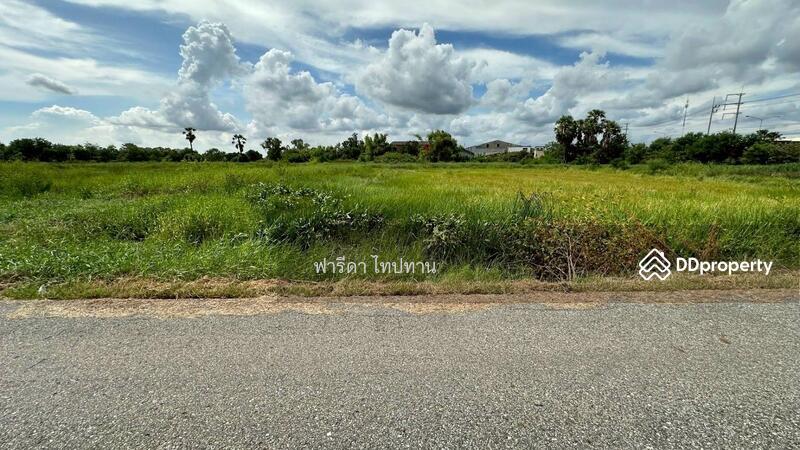 ขาย - ขายที่ดินฉะเชิงเทรา อำเภอบ้านโพธิ์ ถนนศุขประยูร ใกล้ถนน 304 สุวินทวงศ์, ฉะเชิงเทรา