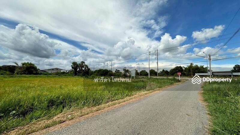 ขาย - ขายที่ดินฉะเชิงเทรา อำเภอบ้านโพธิ์ ถนนศุขประยูร ใกล้ถนน 304 สุวินทวงศ์, ฉะเชิงเทรา