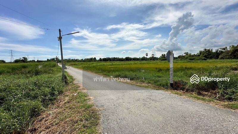 ขาย - ขายที่ดินฉะเชิงเทรา อำเภอบ้านโพธิ์ ถนนศุขประยูร ใกล้ถนน 304 สุวินทวงศ์, ฉะเชิงเทรา