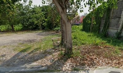 ขาย - ที่ดิน บางแค 14, กรุงเทพ