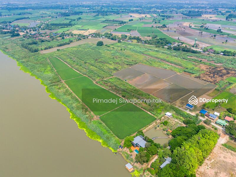 ขาย - ขายที่ดินชัยนาท ติดแม่น้ำเจ้าพระยา หน้ากว้าง 518 เมตร 52ไร่ 3 งาน 89 ตรว, ชัยนาท