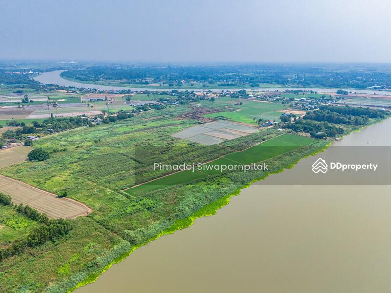 ขาย - ขายที่ดินชัยนาท ติดแม่น้ำเจ้าพระยา หน้ากว้าง 518 เมตร 52ไร่ 3 งาน 89 ตรว, ชัยนาท