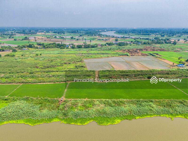 ขาย - ขายที่ดินชัยนาท ติดแม่น้ำเจ้าพระยา หน้ากว้าง 518 เมตร 52ไร่ 3 งาน 89 ตรว, ชัยนาท